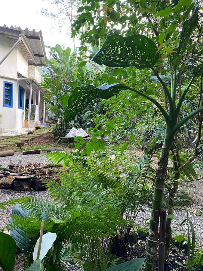 Casa Dos Ventos - Refugio, Sustentabilidade, Conexao Ubatuba Zewnętrze zdjęcie